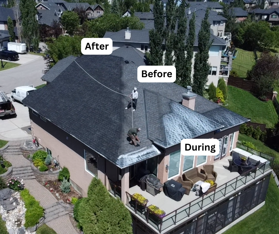Steep-pitch shingle roof — full GreenSoy™ application showing tonal restoration.